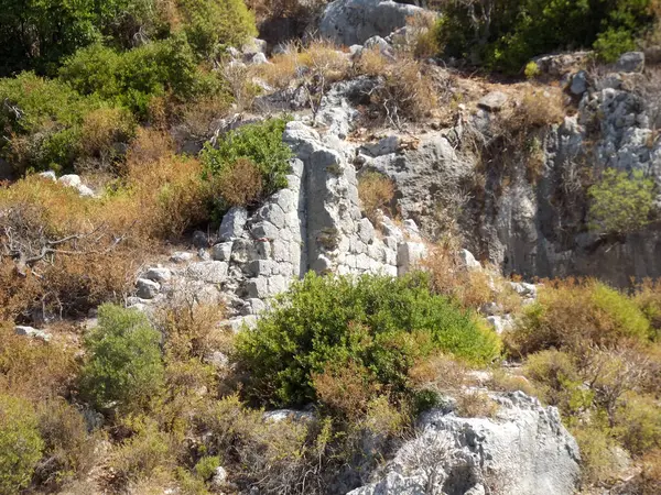 Aşırı gelişmiş bitki örtüsü ve kayalık araziyle çevrili antik bir taş yapının kalıntıları..