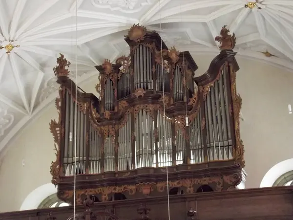 Karmaşık ahşap işçiliği ve çok sayıda borusu olan büyük, süslü bir boru organı güzel tasarlanmış bir tavana dayanıyor. Org belirgin bir şekilde bir kilise veya konser salonunda sergileniyor..