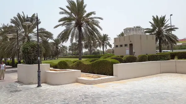 Palmiye ağaçları ve manikürlü çitlerin yer aldığı güneşli bir park sahnesi. Arka planda küçük bir bina görülebilir, yeşil alandan geçen bir patika var. Bölge iyi korunmuş, rahatlamak için ideal..