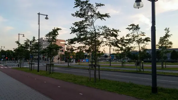 Gün batımında sakin bir şehir sokak sahnesi, kaldırımda ağaçlar ve arka planda bir bina var. Yol boş, sokak lambaları bölgeyi aydınlatıyor, sakin bir atmosfer yaratıyor..