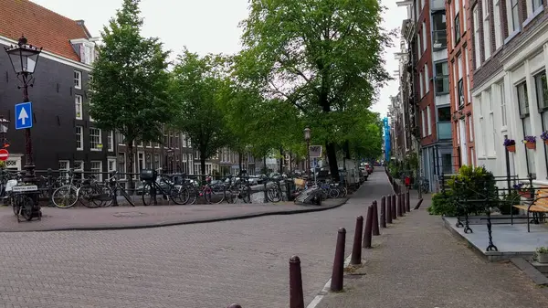 Amsterdam 'da sıra ağaçların, park edilmiş bisikletlerin ve geleneksel Hollanda mimarisinin yer aldığı manzaralı bir cadde. Sokaklar birkaç yaya ve açık hava oturma alanlarıyla sessiz..