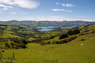 Yuvarlanan yeşil tepeler, sakin bir göl ve berrak mavi gökyüzünün altındaki uzak dağlardan oluşan manzaralı bir manzara. Yeşillik ve doğal güzellik huzurlu bir atmosfer yaratır..