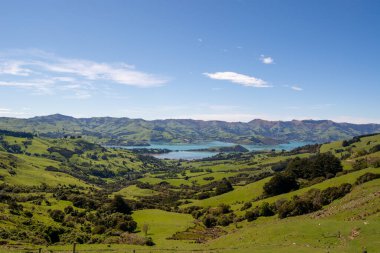 Bereketli yeşil tepelerin panoramik manzarası ve berrak mavi gökyüzünün altında sakin bir koy. Manzarada kayan tepeler, ağaçlar ve uzakta sakin bir su kütlesi yer alır..