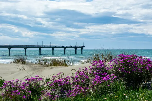 Okyanusa doğru uzanan bir rıhtımın manzarası, kumlu sahil ve ön planda canlı mor çiçeklerle çevrili. Gökyüzü parçalı bulutlu, dingin atmosfere ekleniyor.