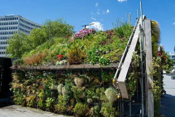 Modern bir binanın üzerinde canlı yeşil bir bahçe, açık mavi gökyüzünün altında çeşitli bitki ve çiçeklerin açtığı bir bahçe. Yapı kentsel mimari ve ağaçlarla çevrilidir..