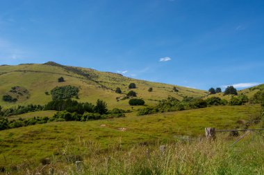 Berrak mavi bir gökyüzünün altında yuvarlanan yeşil tepelerin manzarası, ağaçlar ve çimenli bir ön plan. Manzara sakin ve davetkar, doğanın güzelliğini gösteriyor..