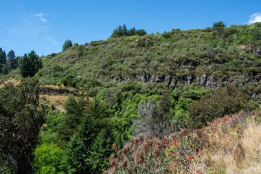 Berrak mavi bir gökyüzünün altında ağaçlar ve çalılar da dahil olmak üzere yeşil bitki örtüsüyle kaplı yemyeşil bir yamaç. Manzarada doğal ve huzurlu bir ortam oluşturan yapraklar ve kayalık çıkıntılar yer alıyor..