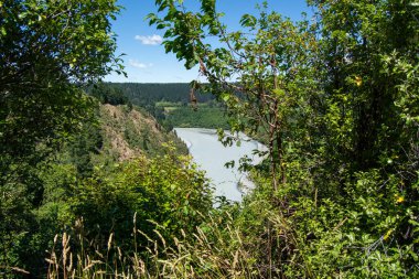 Ağaçlar ve yapraklarla çerçevelenmiş yemyeşil tepeler boyunca kıvrılan bir nehrin manzarası. Gökyüzü birkaç bulutla berrak, sakin bir doğal manzara yaratıyor..