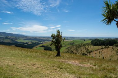 Açık mavi gökyüzünün altındaki yuvarlanan tepelerin ve vadilerin manzarası. Tek bir ağaç önde duruyor, yemyeşil tarlalar ve uzak dağlarla çevrili..