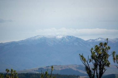 Uzakta kar kaplı dağların manzarası, berrak bir gökyüzü ve bazı bulutlar. Ön planda yeşil bitkiler ve ağaçlar var, manzaraya derinlik katıyorlar..