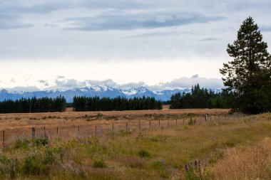 Önünde çit olan çimenli bir arazinin manzarası bulutlu bir gökyüzünün altındaki kar örtülü dağların arka planına götürüyor. Çam ağaçları ufuk çizgisinde sakin bir manzara yaratıyor..