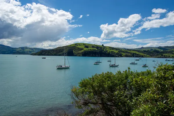 Durgun turkuaz sulara demir atmış, parçalı bulutlu bir gökyüzünün altında yemyeşil tepelerle çevrili, birden fazla yelkenlinin bulunduğu sakin bir sahil sahnesi..