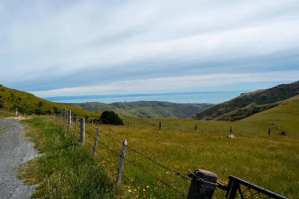 Bulutlu bir gökyüzünün altında sakin bir denize uzanan yuvarlanan yeşil tepelerin manzarası. Çit boyunca uzanan çakıllı bir yol kırsal araziyi güzelleştiriyor..