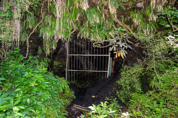 Yeşillik yeşillik ve tropikal bitkilerle çevrili bir mağara ya da tünelin girişi doğal bir ortamı gösteriyor. Kapı metal parmaklıklardan yapılmış, kısmen bitki örtüsüyle gizlenmiş..