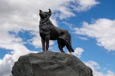 Büyük bir kayanın üzerinde gururla duran bir köpeğin bronz heykeli mavi bir gökyüzü ve kabarık bulutlara karşı..