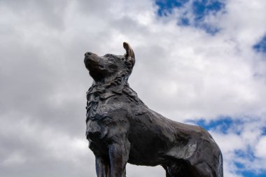Bulutlu bir gökyüzüne doğru bakan bronz bir köpek heykeli. Köpeğin kürkü detaylıdır, görkemli duruşunu ve ifadesini gösterir..