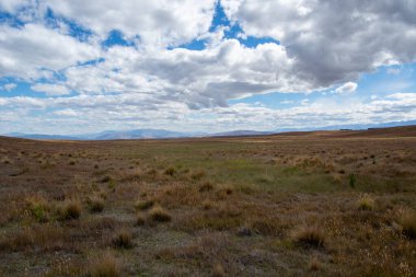 Bulutlu bir gökyüzünün altında çimenli bir ovanın yer aldığı engin, açık bir manzara. Ufuk uzak dağlarla kaplı, dingin ve geniş bir doğal manzara yaratıyor..