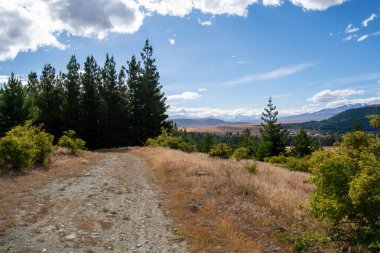Dağınık ağaçlarla dolu çimenli bir alanda dolanan toprak bir patikanın manzarası. Arka planda, dağlar parçalı bulutlu bir gökyüzünün altında görülebilir..