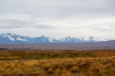 Uzakta karla kaplı dağların manzaralı manzarası, altın çimen önplanı ve bulutlu bir gökyüzünün altında seyrek bitki örtüsü.