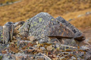 Kuru ot ve toprak tonlarının bulanık arka planına karşı yosun ve liken kaplı engebeli kayaların yakın çekim görüntüsü. Taşların dokusu belirgin, doğal desenler gösteriyor..