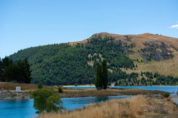 Berrak mavi gökyüzünün altında yemyeşil tepeler ve ağaçlarla çevrili sakin bir göle sahip huzurlu bir manzara. Su, doğanın canlı renklerini yansıtıyor ve barışçıl bir atmosfer yaratıyor..