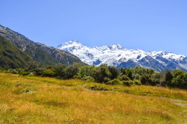 Karlı Dağlar ve Altın Otlaklar