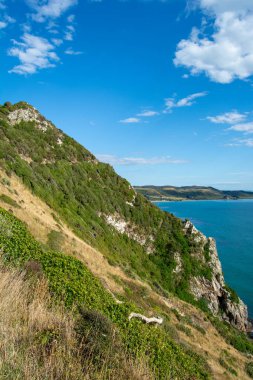 Yeşil Tepe ve Mavi Deniz 'le Manzaralı Kıyı Manzarası