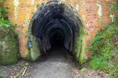 Doğayla çevrili Gizemli Tuğla Tüneli