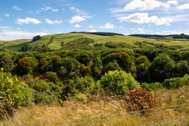 Mavi Gök Altında Manzaralı Yuvarlanan Tepeler