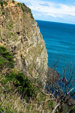 Dalgalı Okyanusa Bakan Uçurum