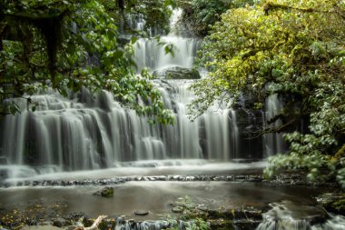 Berrak Yeşil Ormanda Serene Şelalesi