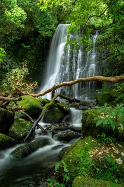 Bereketli Yeşillikte Sakin Şelale