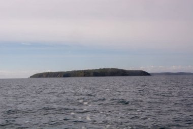 Sakin sularda yemyeşil bir adanın uzak görüntüsü