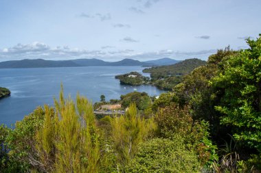 Sükunet Körfezi Görünümü Çevrelenmiş Yeşillik