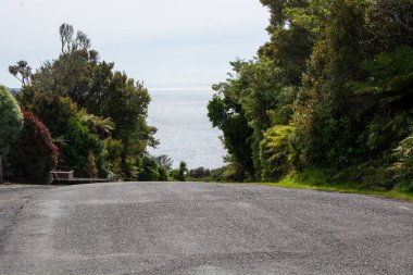 Okyanusa çıkan Manzaralı Yol