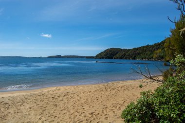 Sakin Suları ve Lush Tepeleri olan Huzurlu Plaj