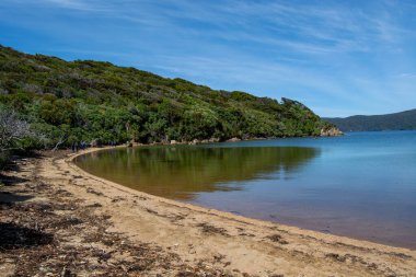 Berrak Yeşillik ve Sakin Suları olan Huzurlu Plaj