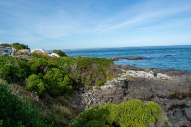 Açık mavi gökyüzünün altında kayalık kıyı şeridi ve yemyeşil bitki örtüsüyle kıyı manzarası.
