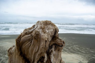 Kumlu bir plajda, arka planda bulutlu bir gökyüzünün altında okyanus dalgalarının çarptığı yıpranmış bir odun yığını..