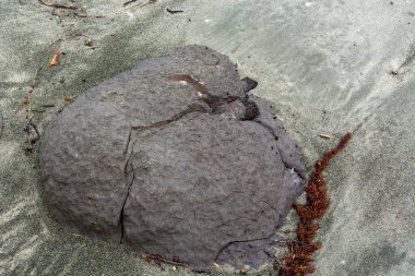 İnce kum ve yosunlarla çevrili kumlu bir sahilde büyük, çatlak, grimsi kahverengi bir kaya oluşumu. Kayanın dokusu pürüzlü ve pürüzlü kumla çelişiyor..