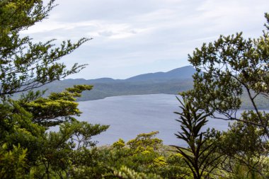 Bereketli yeşillik ve bulutlu gökyüzünün altındaki uzak dağlarla çevrili sakin bir göl manzarası..