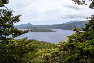 Bereketli yeşil ormanlarla çevrili sakin bir körfezin manzarası ve bulutlu bir gökyüzünün altındaki uzak dağlar..