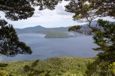 Bereketli yeşil ormanlar ve ağaç dallarıyla çevrili uzak dağlarla çevrili sakin bir göl manzarası..