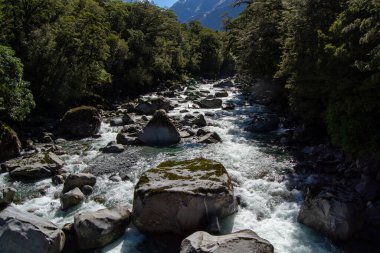 Bereketli yeşil bir ormanın içinden akan manzaralı bir nehir. Büyük kayalar suya saçılmış. Güneş ışığı akan sudan yansıyarak dingin ve sakin bir atmosfer yaratır..