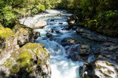 Bereketli yeşilliklerle çevrili pürüzsüz taşların üzerinden akan sakin bir nehir. Su nazikçe çağlar ve doğal bir ortamda sakin bir atmosfer yaratır..