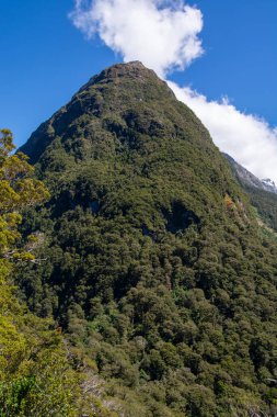 Görkemli bir dağ zirvesi. Etrafı yemyeşil ormanlarla çevrili. Parlak mavi bir gökyüzünün altında..