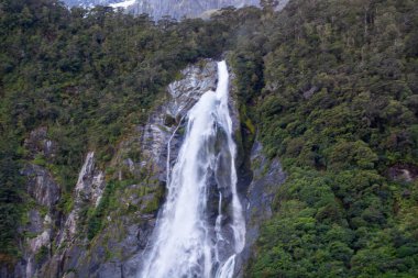 Sersemletici bir şelale, yemyeşil yapraklar ve sık ormanlarla çevrili kayalık bir uçurumdan aşağı yuvarlanıyor. Su güçlü bir şekilde akar, sis ve sakin bir atmosfer yaratır..