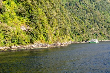 Sakin bir su kütlesi boyunca yemyeşil bir sahil şeridi manzarası, manzarada gezinen bir feribot..