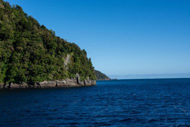 Bereketli yeşil bir tepenin berrak mavi bir gökyüzünün altında derin mavi okyanusla buluştuğu huzurlu bir kıyı manzarası. Manzara, canlı renkler ve sakin sularla doğanın güzelliğini gözler önüne seriyor..