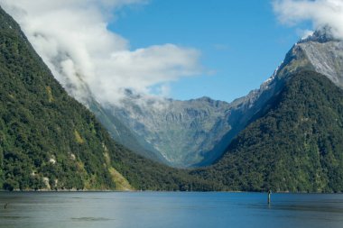 Yüksek dağlar ve yemyeşil yemyeşil yemyeşil ile çevrili, manzarayı yansıtan sakin bir su yüzeyi ile çarpıcı bir fiyort manzarası. Gökyüzü bazı bulutlarla berrak.